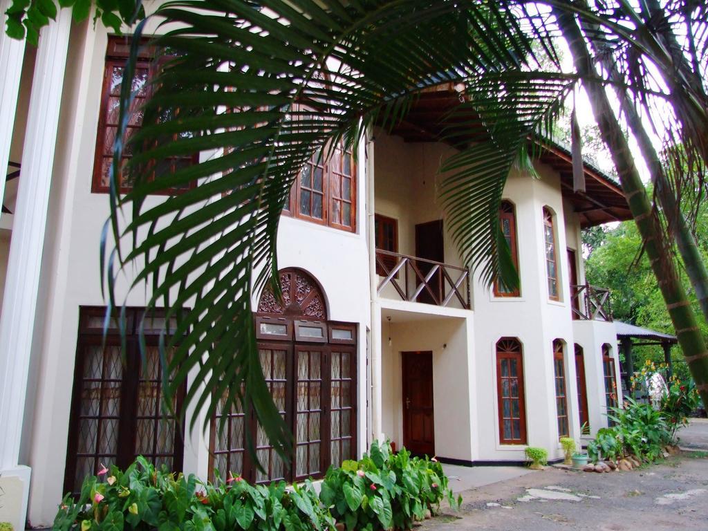 Tree Breeze Inn Kandy Exterior foto