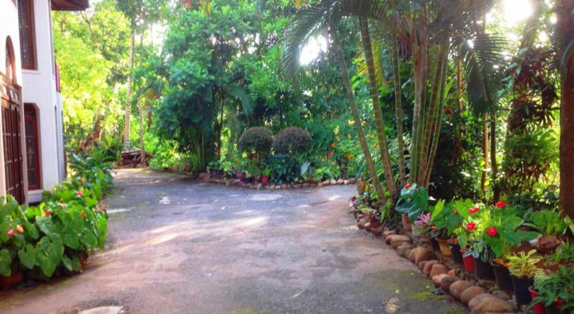 Tree Breeze Inn Kandy Exterior foto